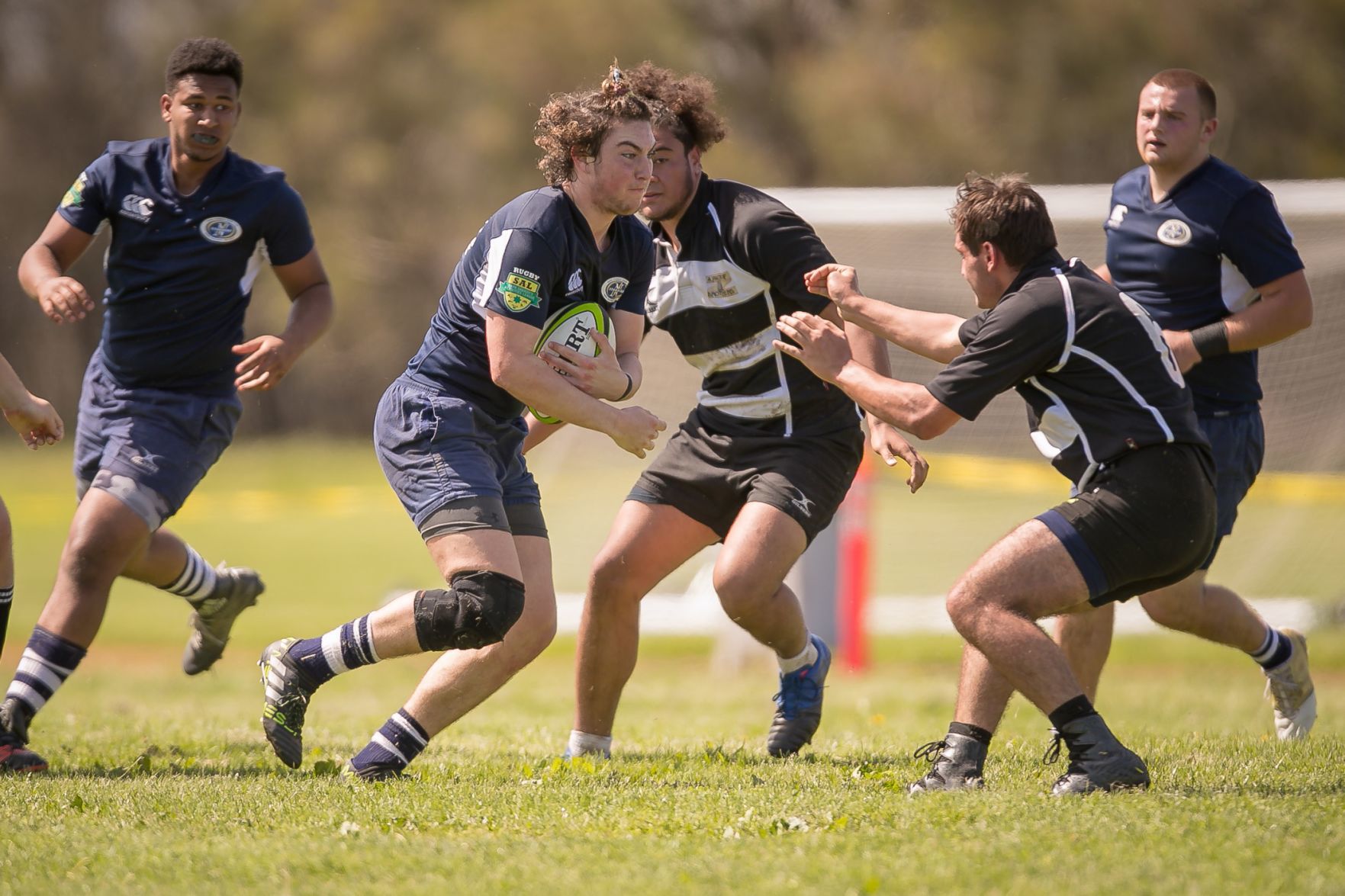 Napa Stormers rugby